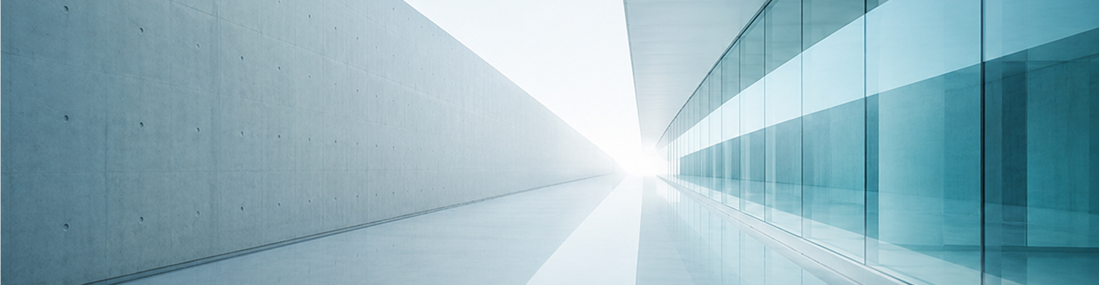 New scrutiny for large investment projects: Anti-corruption and anti-monopoly examination